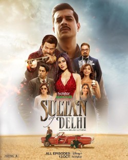 Download Sultan of Delhi (Season 1) Hindi ORG DSNP WEB Series 720p | 480p HDRip download